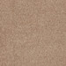 GRIS TOURTERELLE