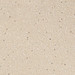 TURTLEDOVE