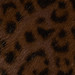 COCOA