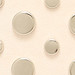 TURTLEDOVE