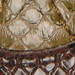OIL GREEN